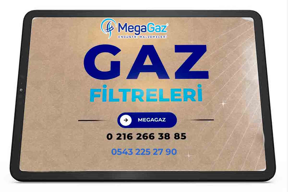 dogalgaz gaz filitreleri